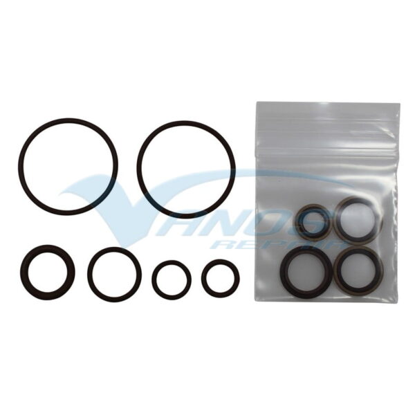 S54B32 - Beisan Systems VANOS seals revisie set - Image 3