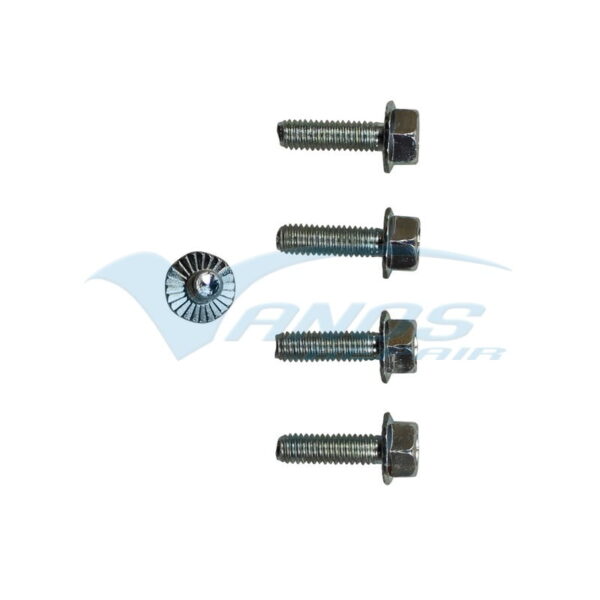 M50B20 - M50B25 - M52B20 - M52B25 - M52B28 - VanosRepair Enkele Vanos Revisie Voordeelset XL - immagine 5