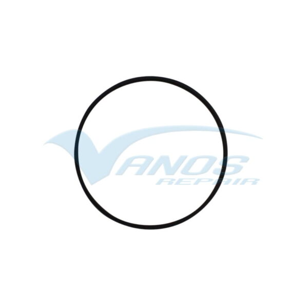 M62B35 - M62B44 - M62B46 - M62B48 - Beisan Systems M62TU VANOS extra Teflon ring - immagine 3