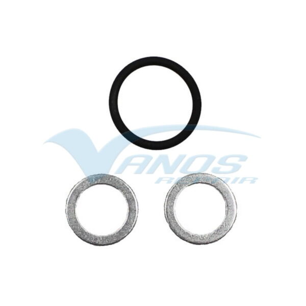 M50B20 - M50B25 - M52B20 - M52B25 - M52B28 - Enkele VANOS Beisan seals revisie voordeelset – Image 4