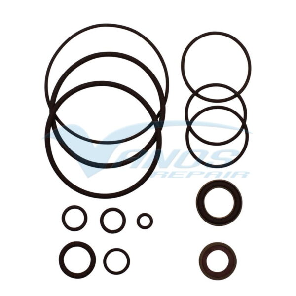 S50B30 - Beisan Systems S50 enkele VANOS seals revisie set - Image 3